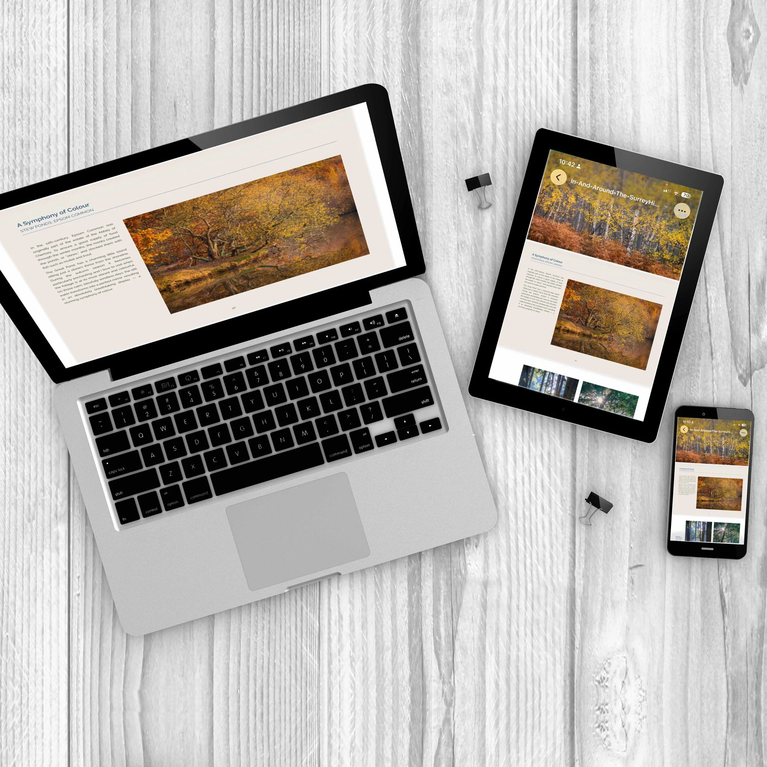 eBook-Laptop-Phone-Tablet-Aerial-AS_114410062.jpg