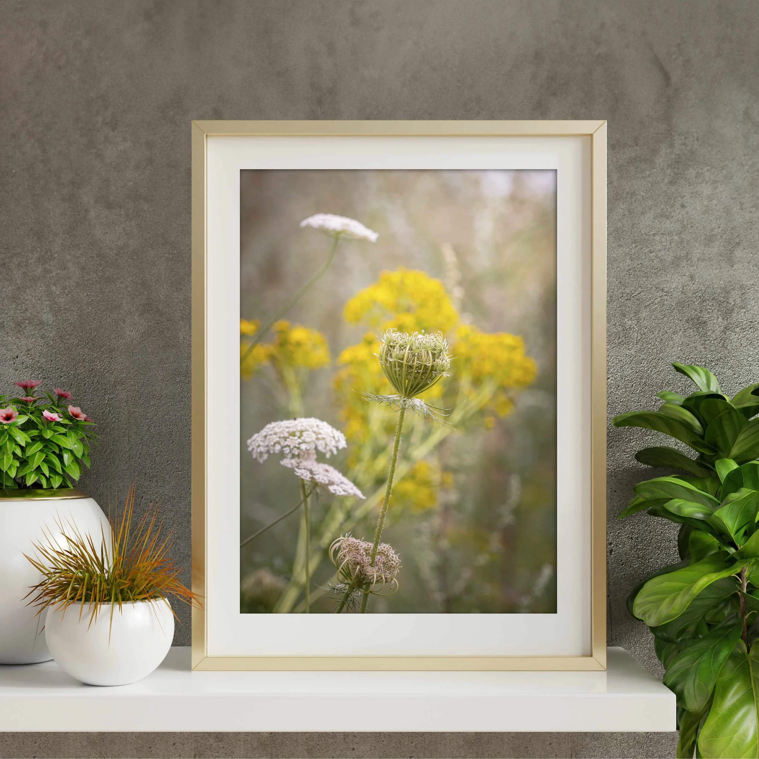 Queen-Annes-Lace-Framed.jpg