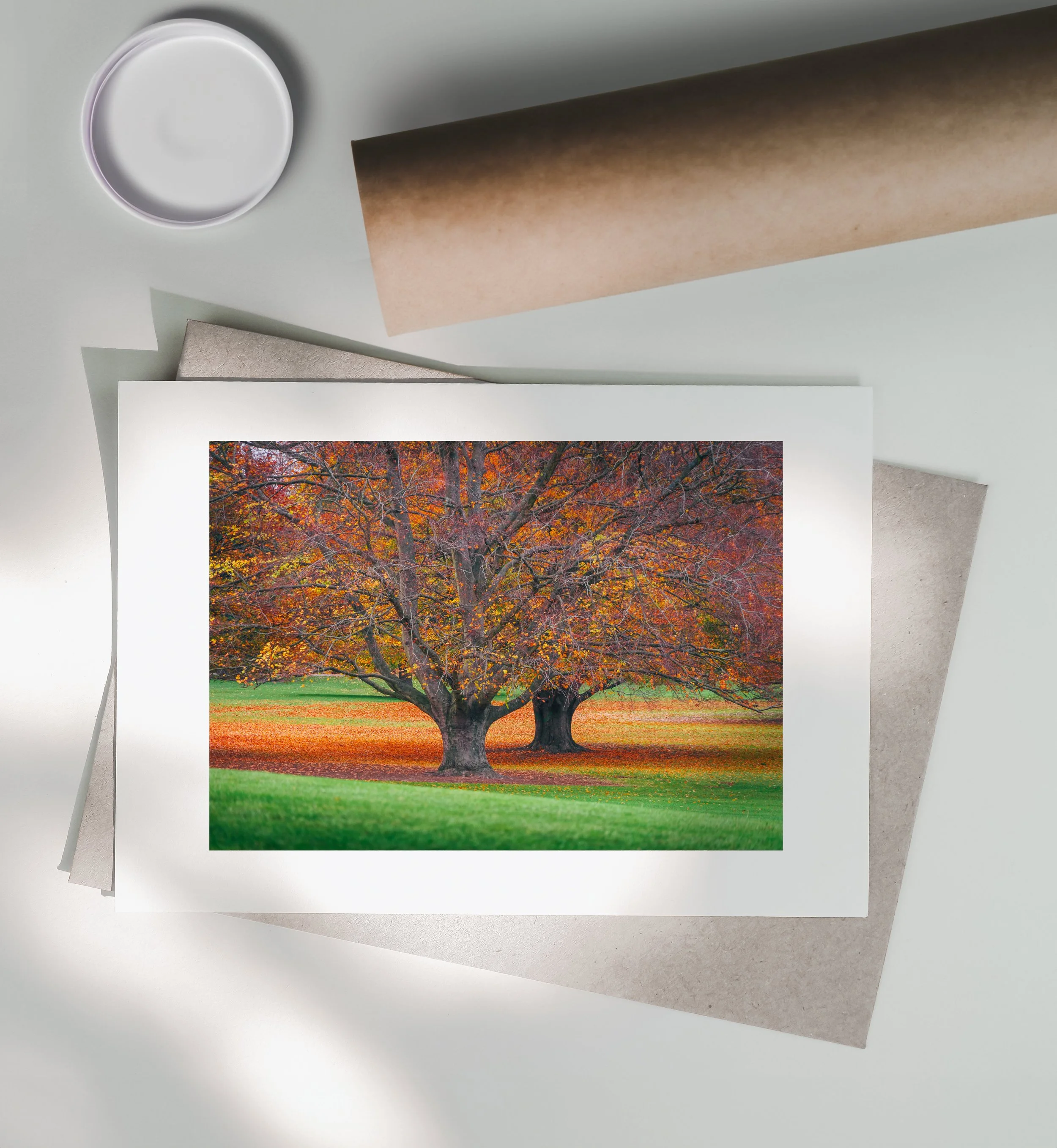 Autumn-In-The-Park-Print-Postal-Tube.jpg