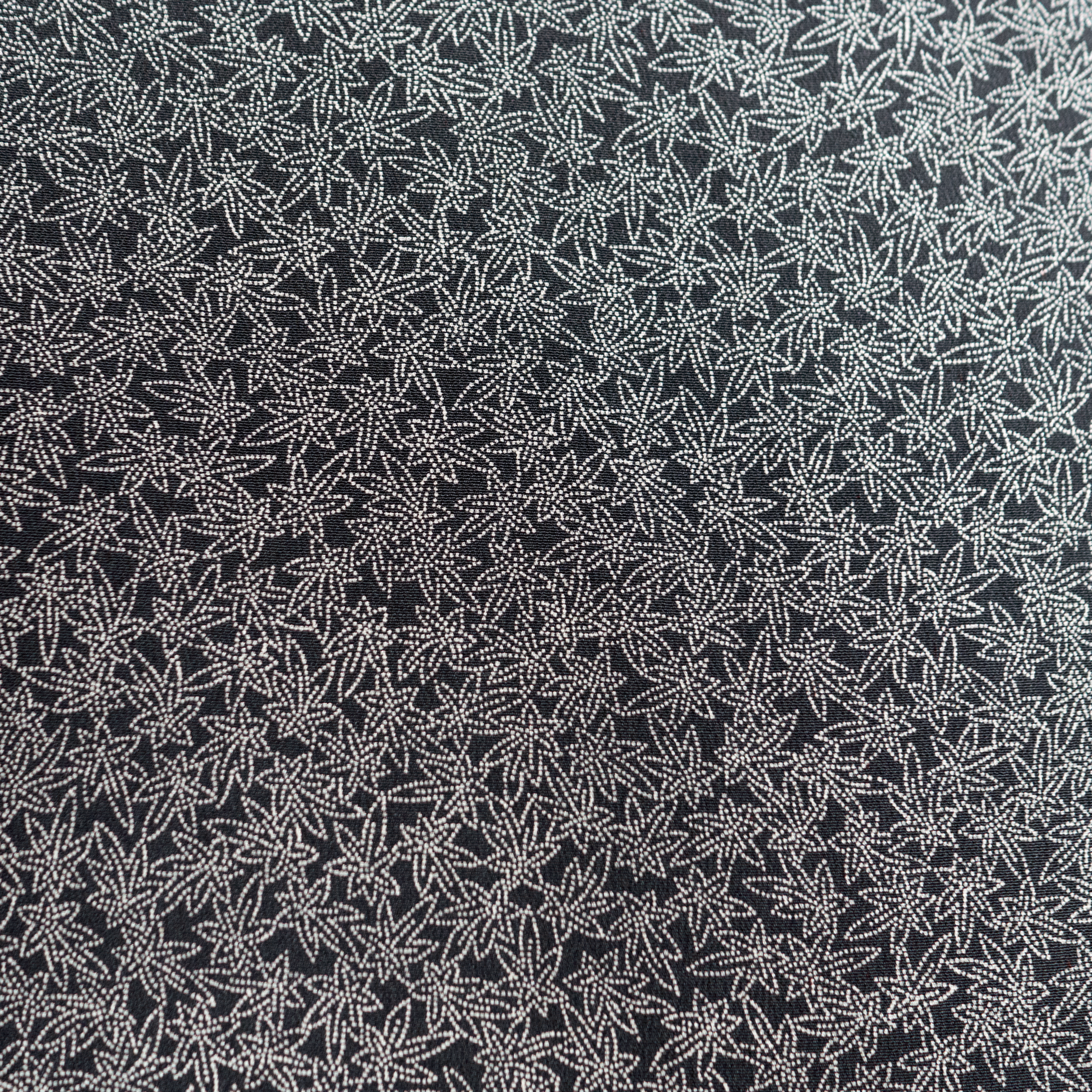 P7312122.png