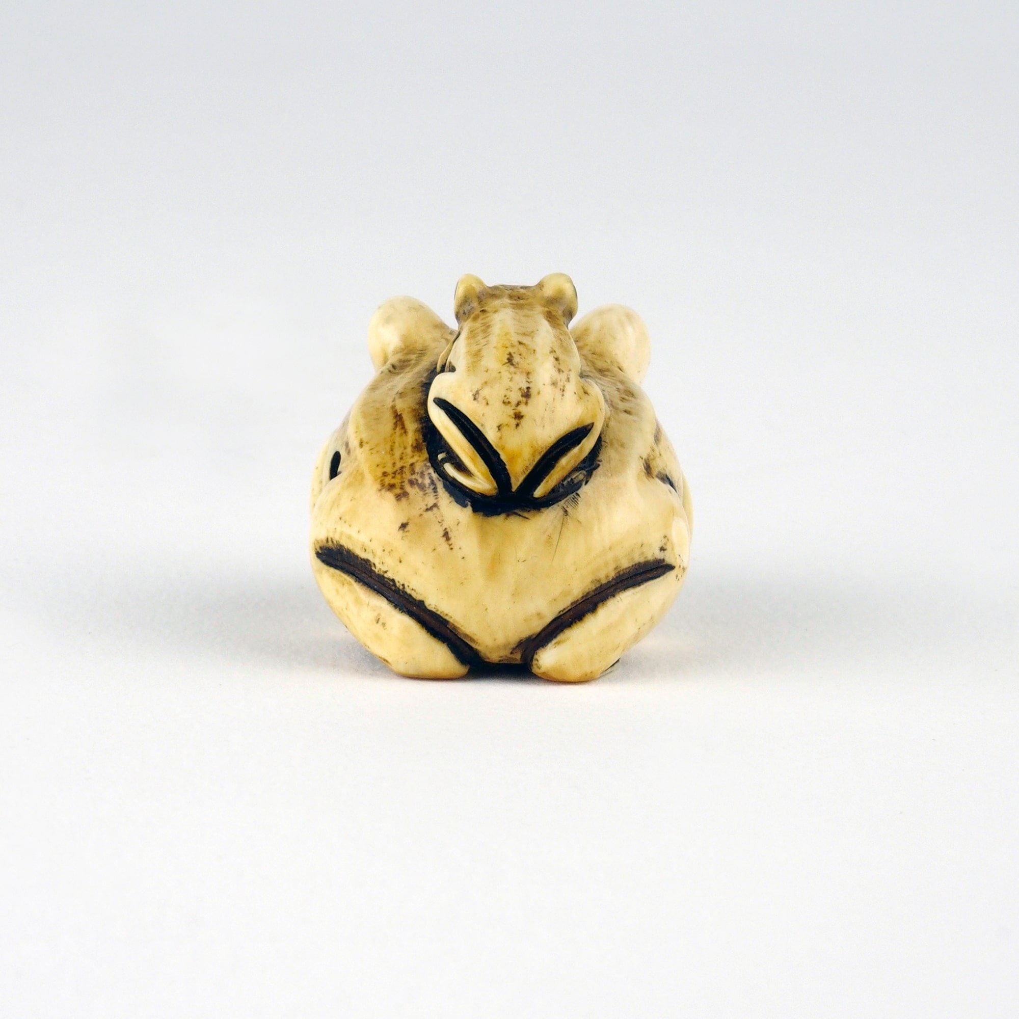 netsuke-ivoire-grenouille-antiquite-japonaise-3.jpeg