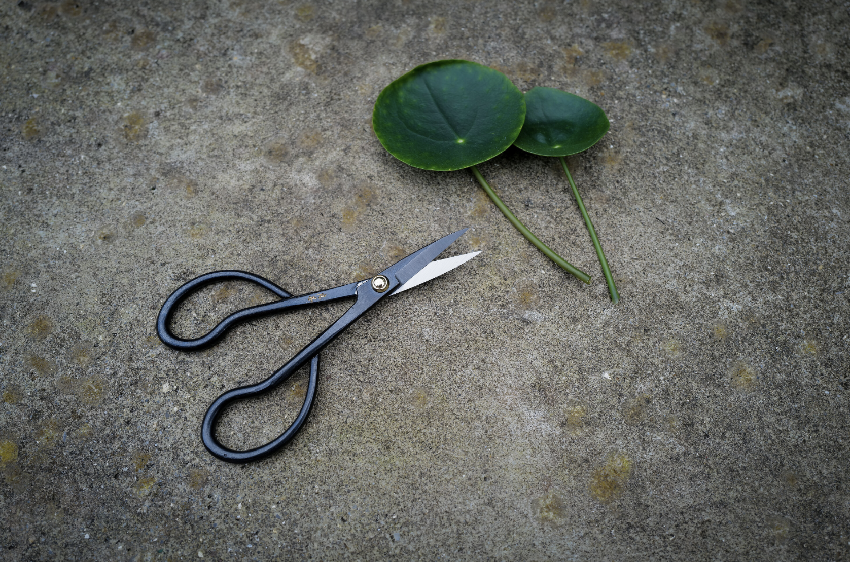 Capture d’écran 2025-12-26 à 17.33.53.png