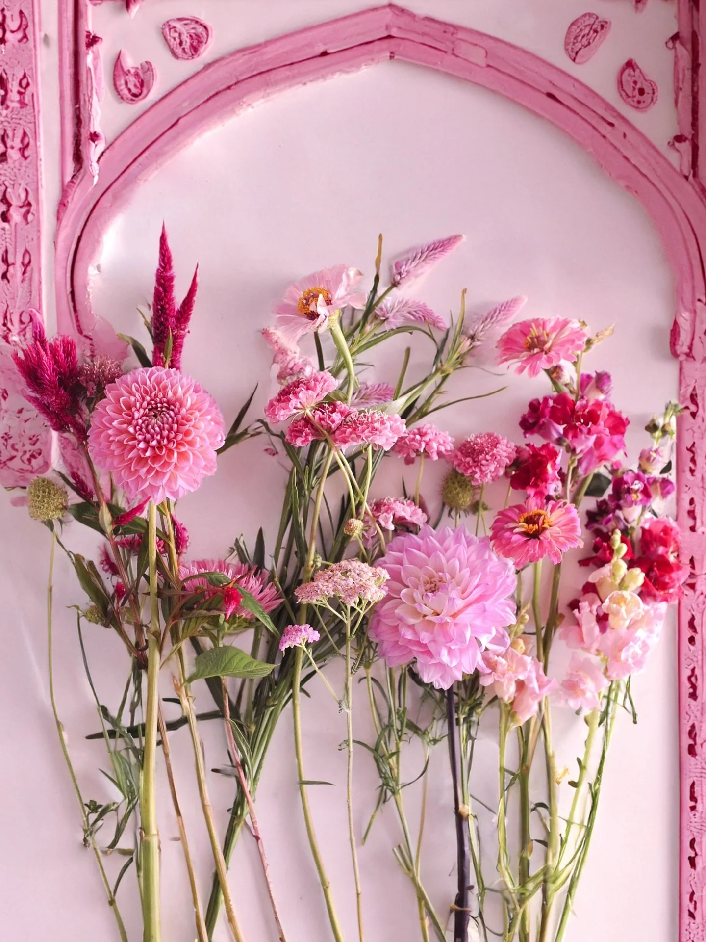 Palette🌸 🎨🩷
.
.
.
#flowertherapy #floralinspo #tamil #flowers #minuitsauvage #studiopushpa #petals #fleuriste #fleuristeparis #colorofindia #flowerdiary #tamilvibes #floraldesign #fleuristemariage #flowerlover #dahlia #dahlialove #happypushpam