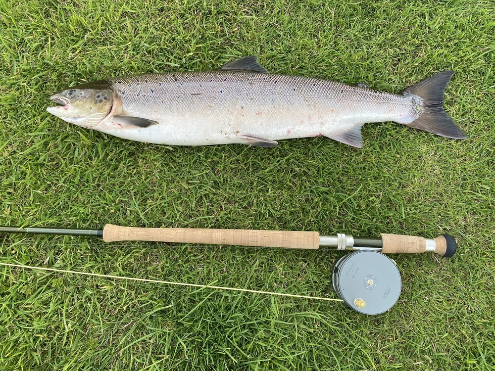 trout fishing pole connecting with nature through food