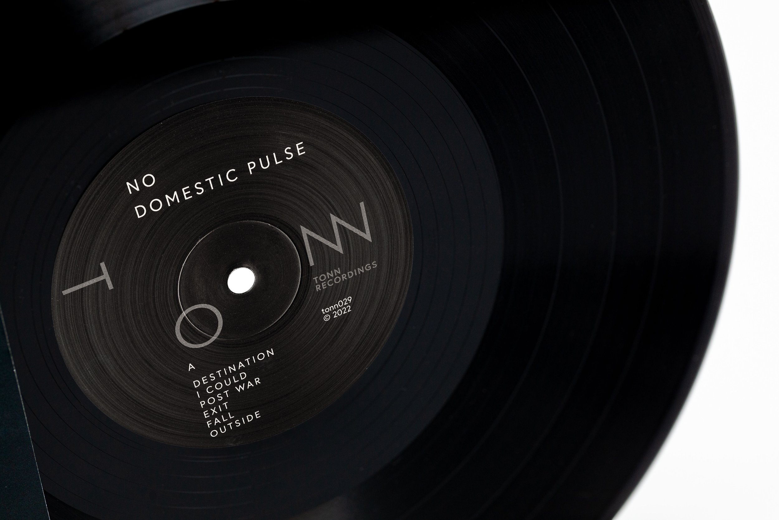 Domestic Pulse No Vinyl TONN Recordings D1.jpg
