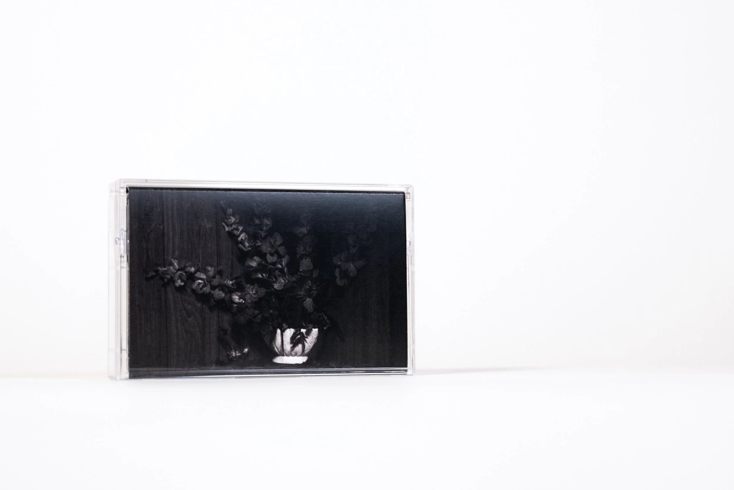 Prinzessin So Far Away Cassette TONN Recordings F3.jpeg