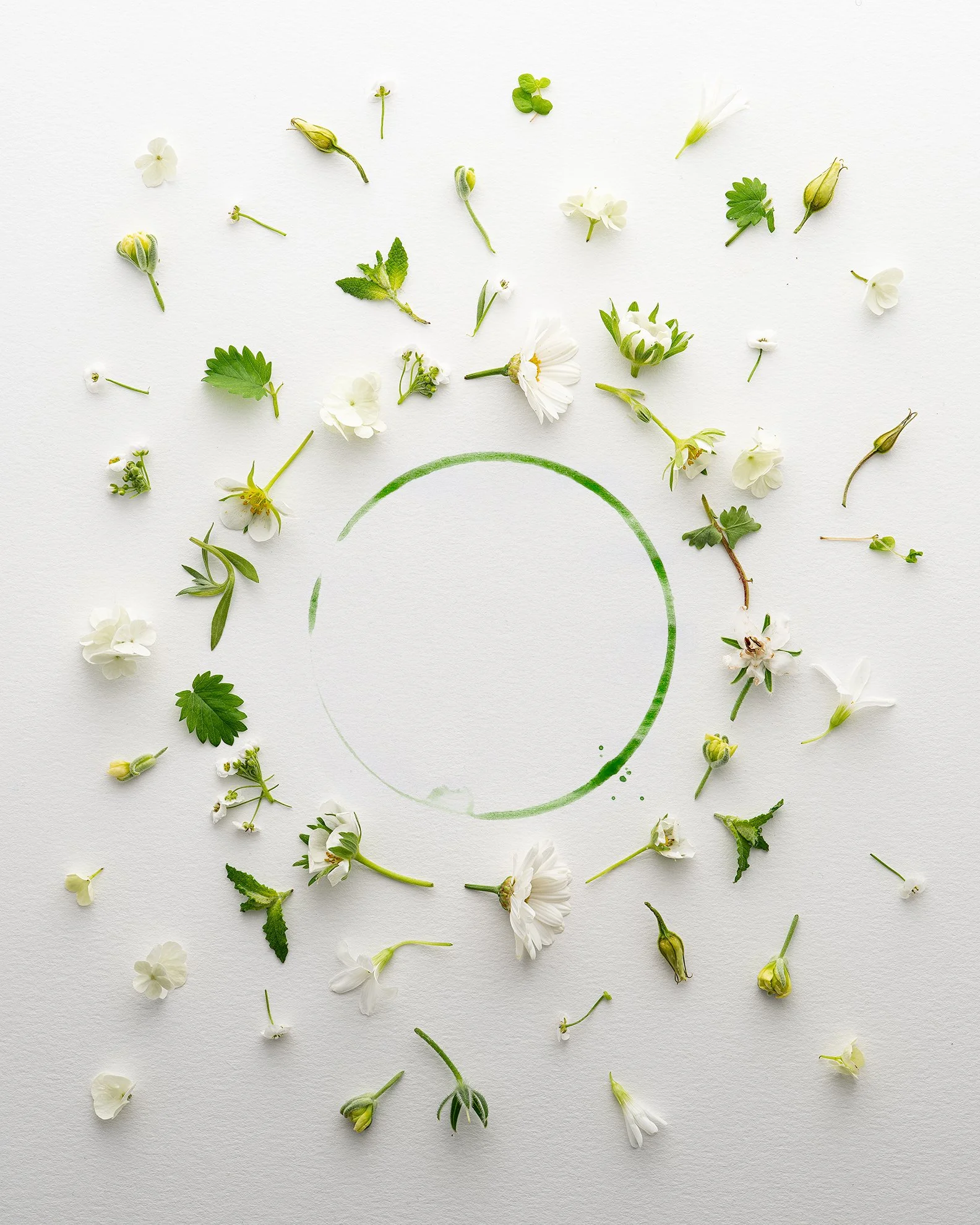 fleurs_rond.JPG