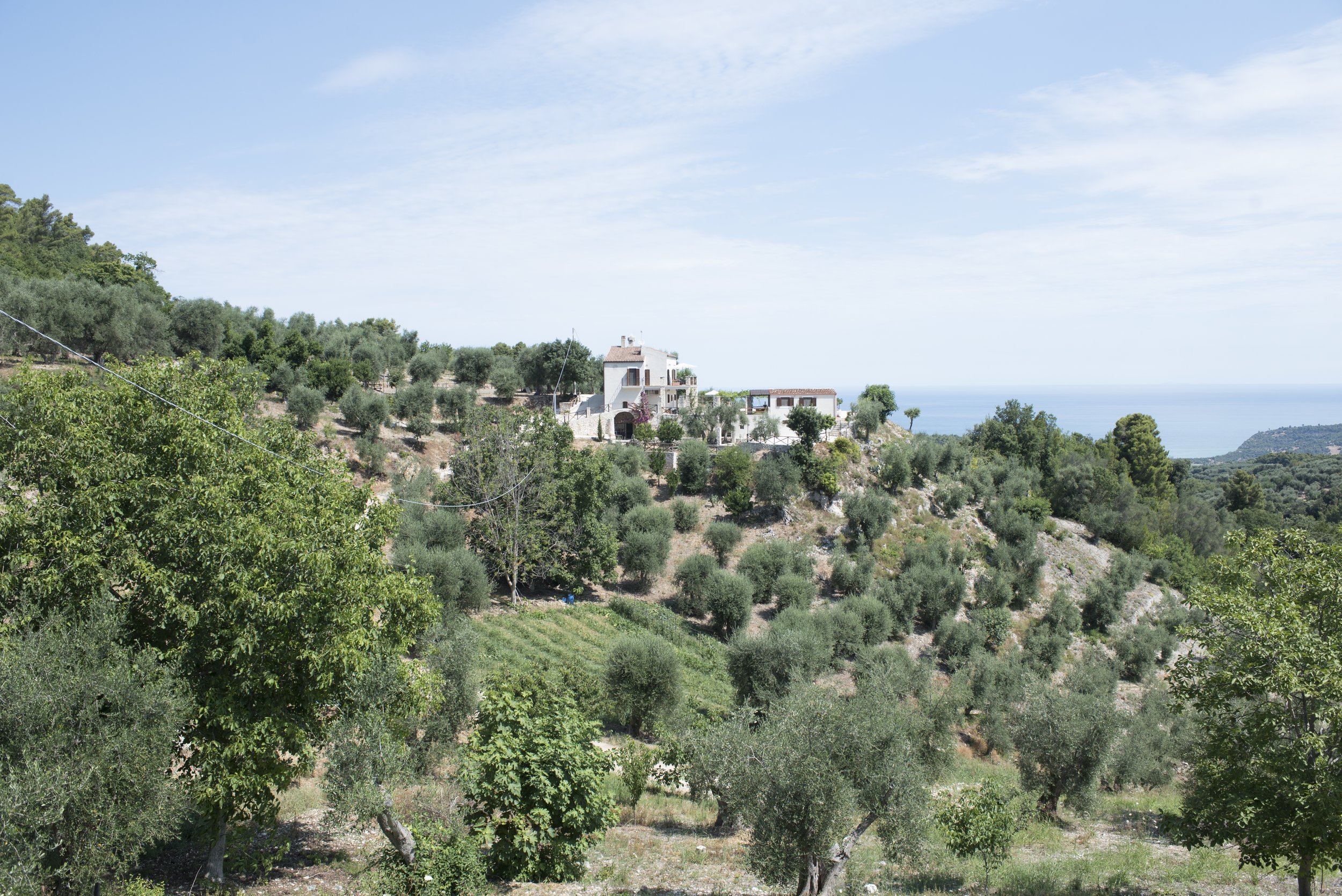 With Cooking Our Italian Joe — Farm in Puglia