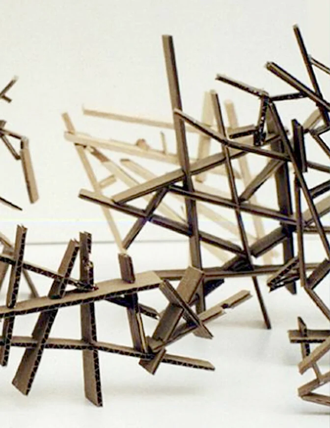 Tumbleweed Bookcase (Copy)