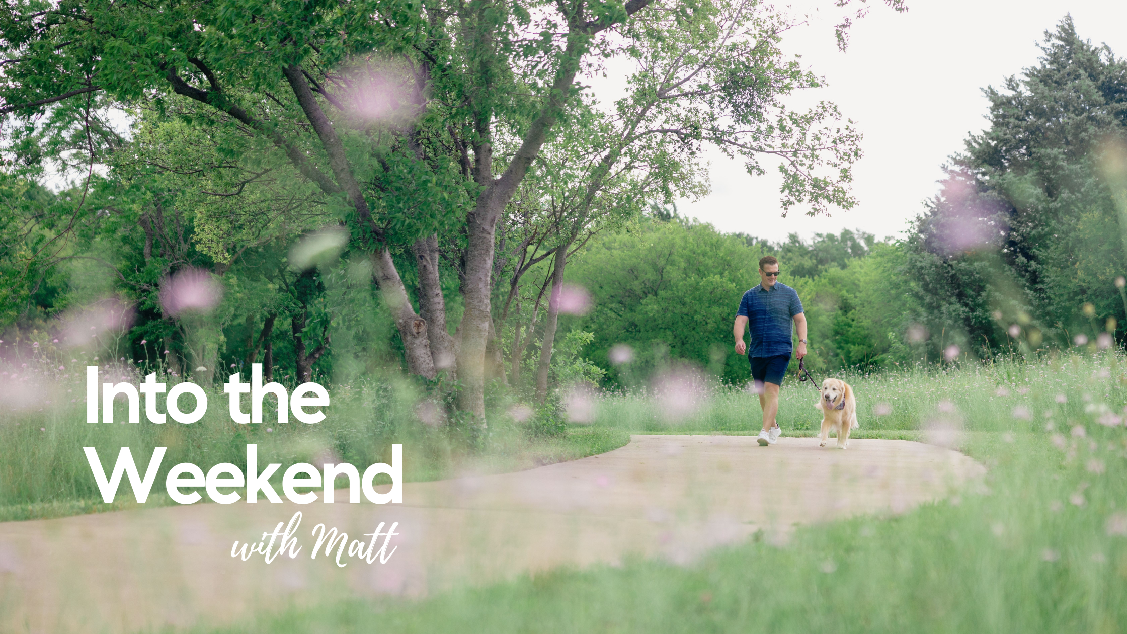 Into the Weekend - August 12, 2022