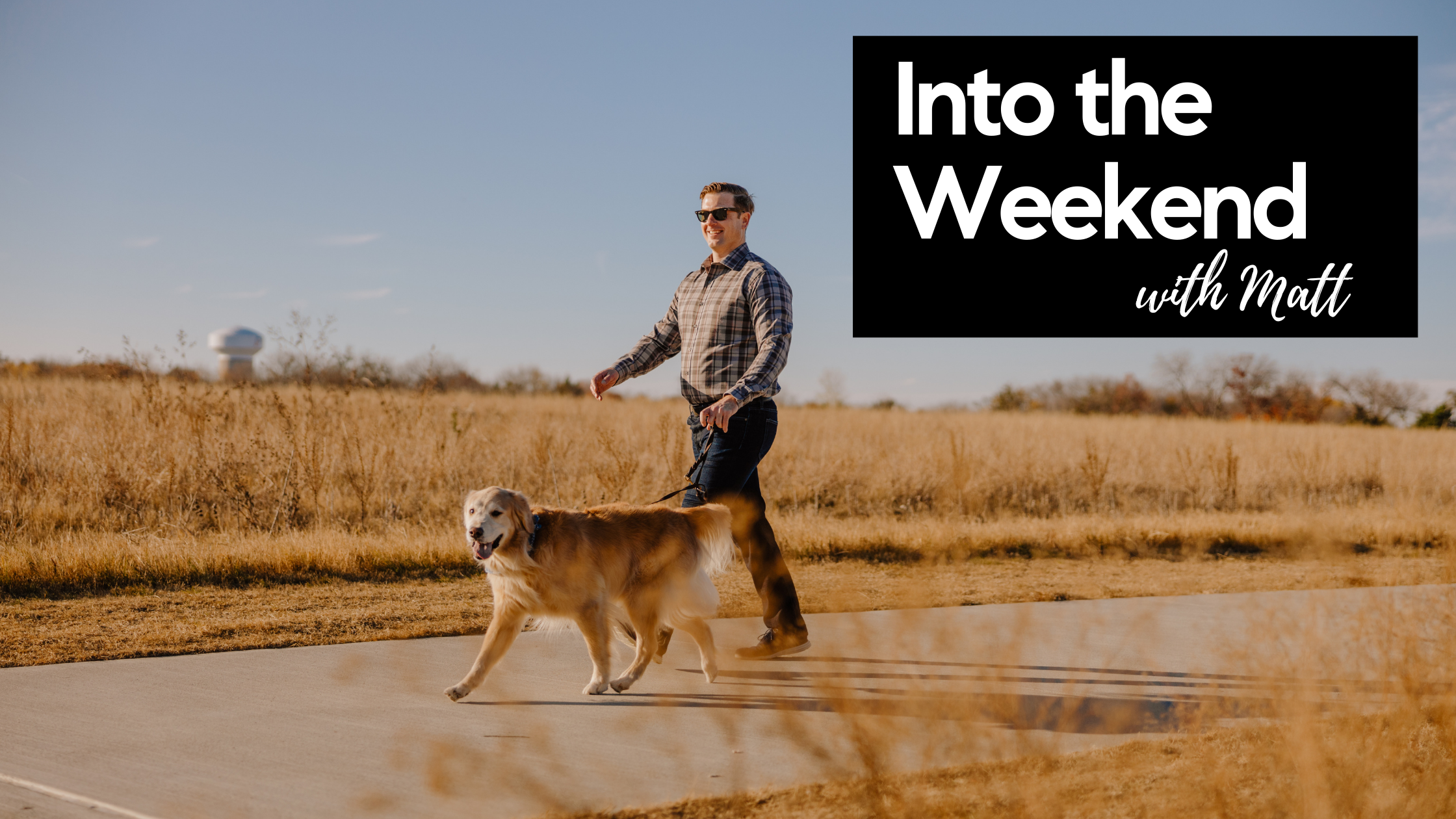 Into the Weekend - October 14, 2022