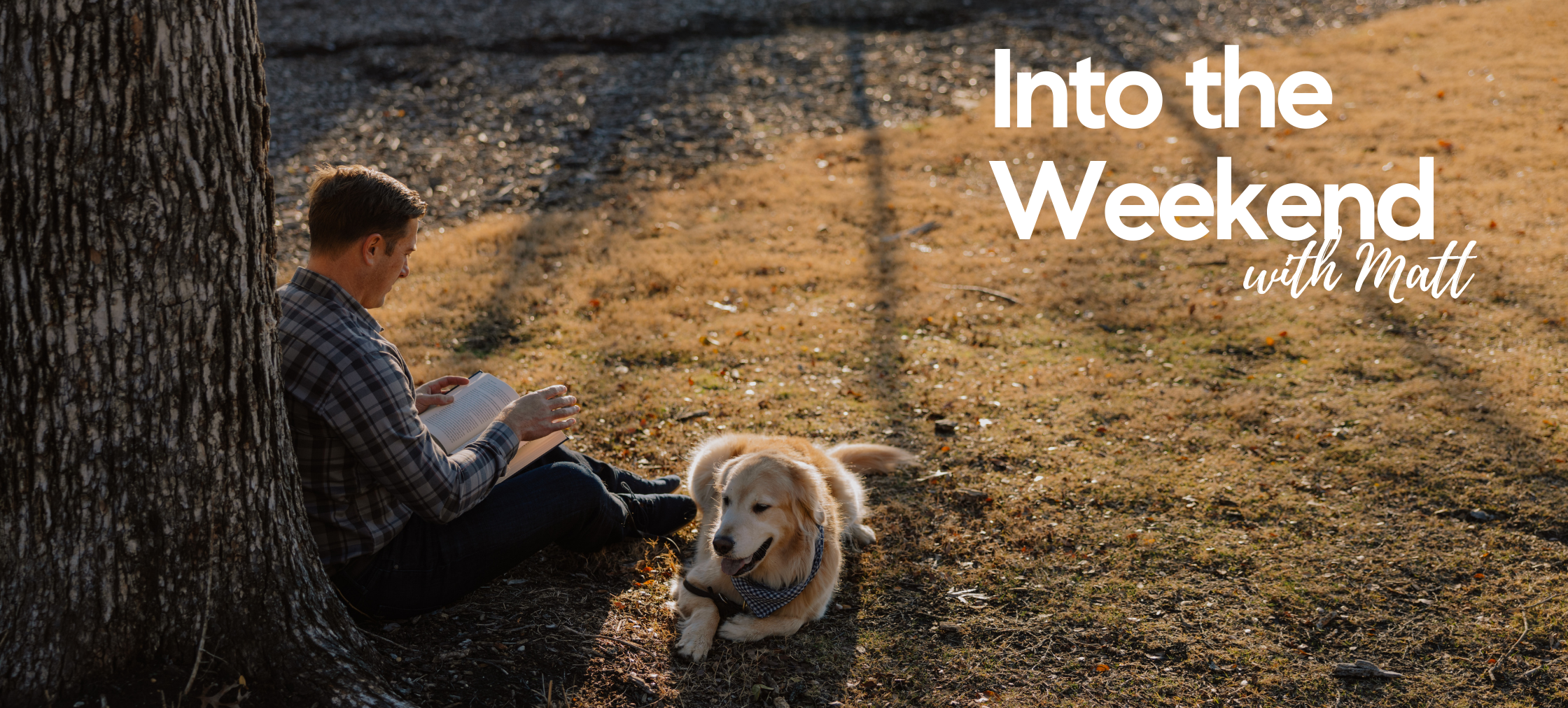 Into the Weekend - November 17th, 2023