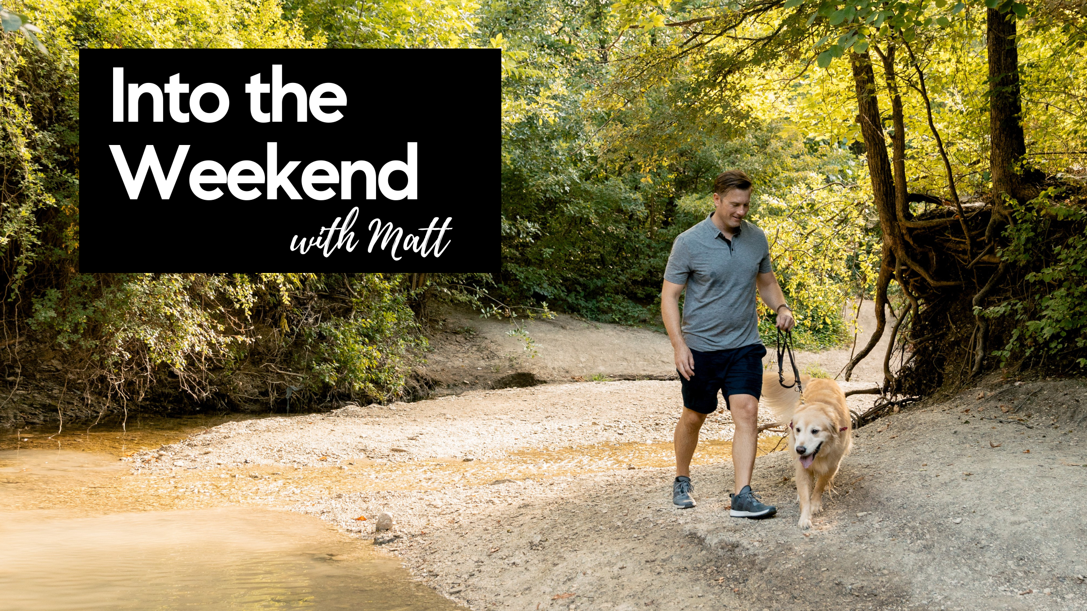 Into the Weekend - July 21st, 2023