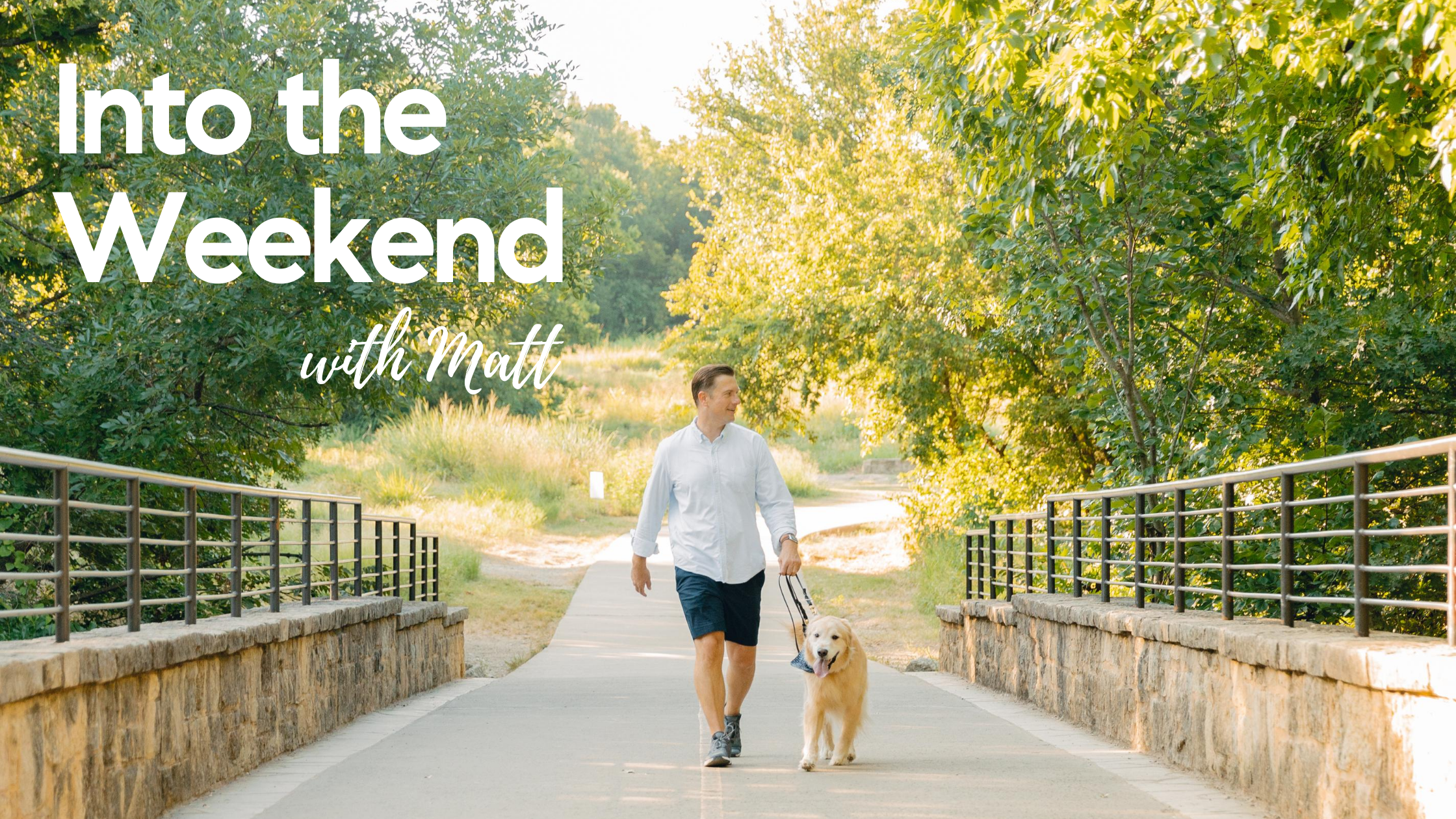 Into the Weekend - August 25th, 2023