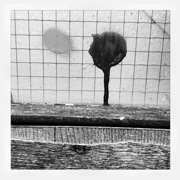 Found – colours and shapes