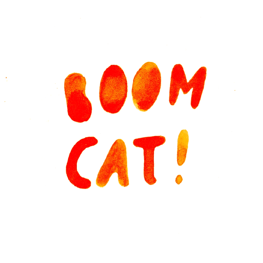 Intro to BoomCat!