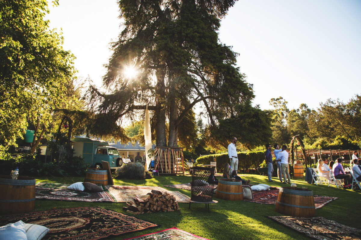 Outdoor gathering with people standing and sitting on chairs, under a large tree with sunlight shining through, surrounded by carpets, pillows, and firewood, on a sunny day.