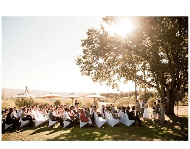 Outdoor wedding ceremony with seated guests under a large tree and a bright sun in the sky.