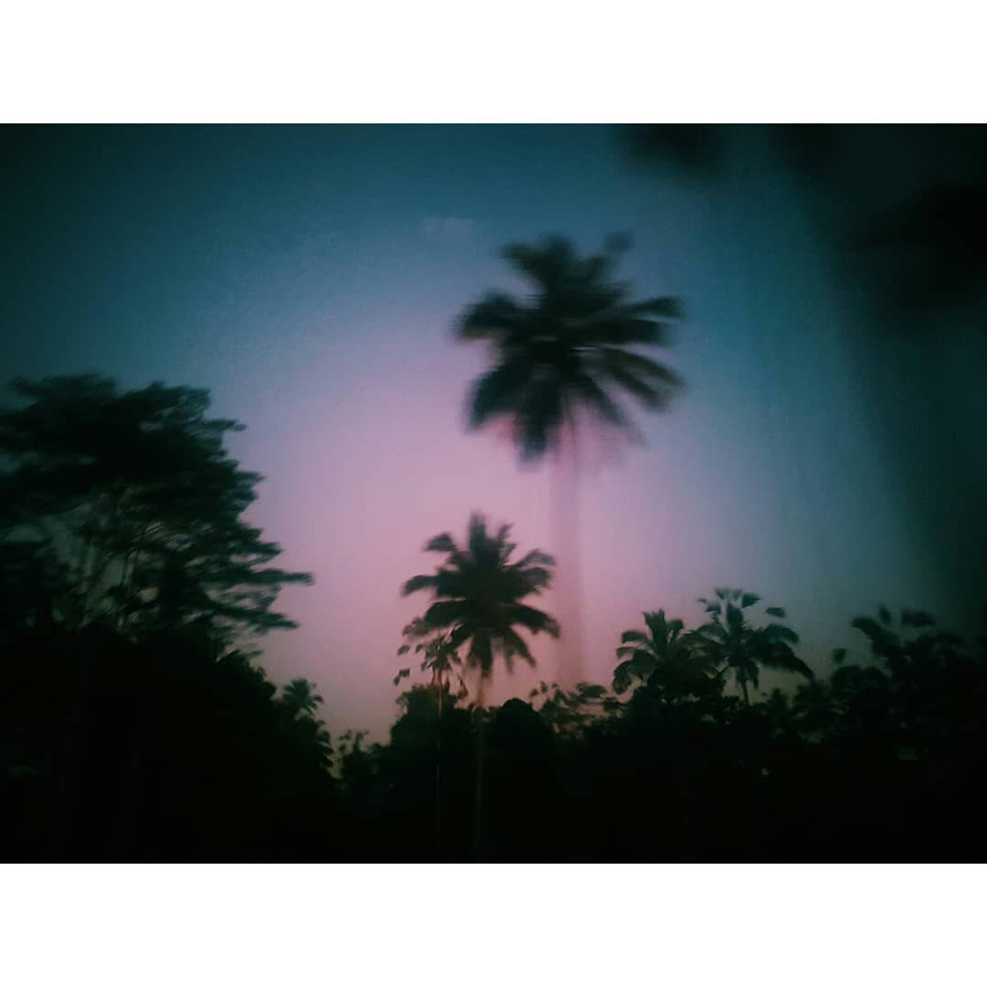 Nighttime scene with silhouetted palm trees against a colorful, blurry sky.