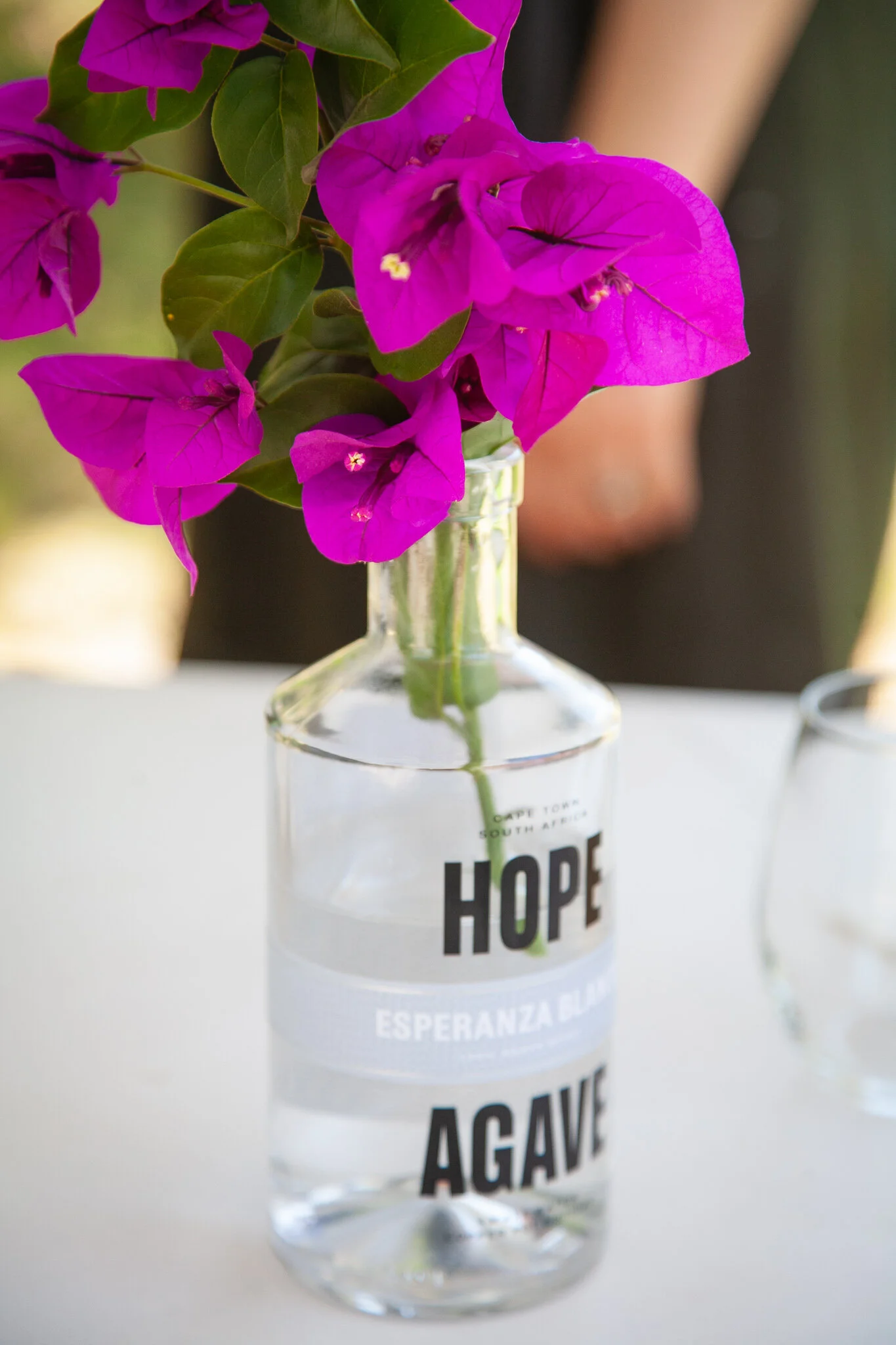 A glass bottle with the words 'HOPE' and 'AGAVE' and 'ESPERANZA' printed on it, filled with water and holding bright pink bougainvillea flowers with green leaves.
