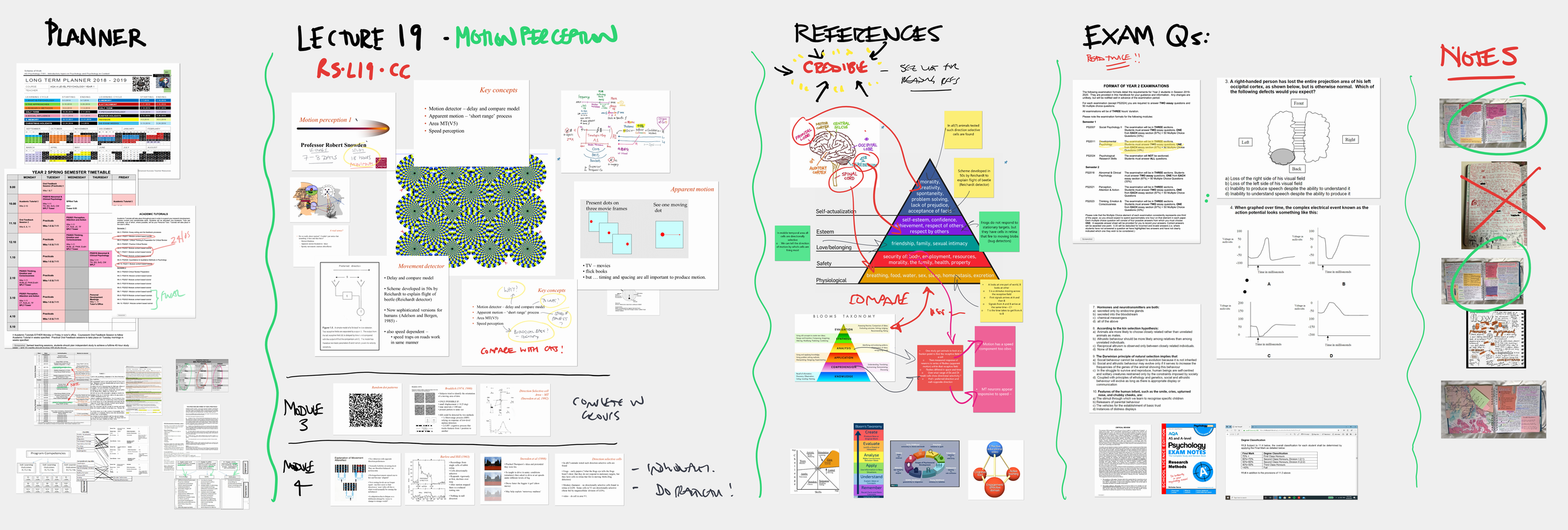 Psychology Lecture Session