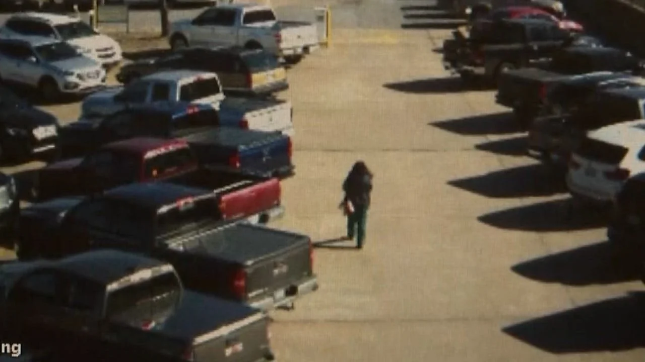 The Disappearance of Holly Cantrell — It's Crime O Clock Somewhere