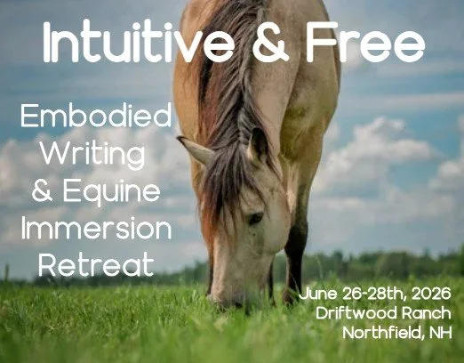 Equine Embodied Writing Retreat