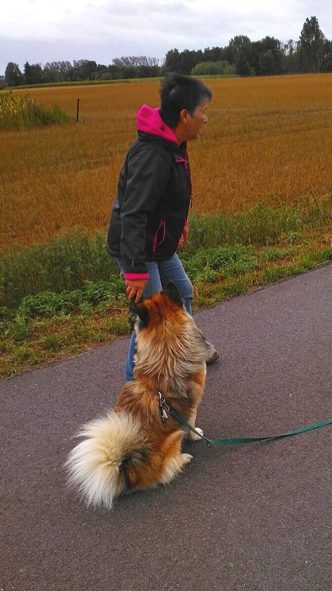 Ein Junge mit kurz schwarzem Haar in einer schwarzen Jacke mit pinker Kapuze, der auf einem Weg mit einem Hund sitzt, vor einer ländlichen Landschaft mit goldgelbem Feld und Bäumen.