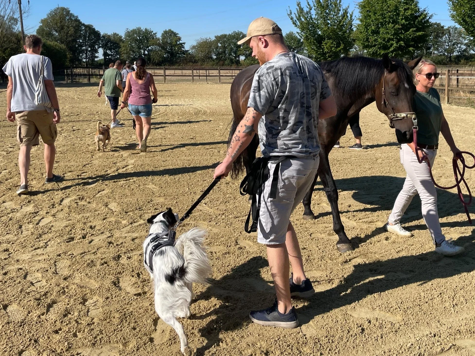 Menschen gehen in einem Reitstall, einige sind mit Hunden unterwegs, andere mit Pferden. Es ist sonnig und es befindet sich eine Holzzäune im Hintergrund.