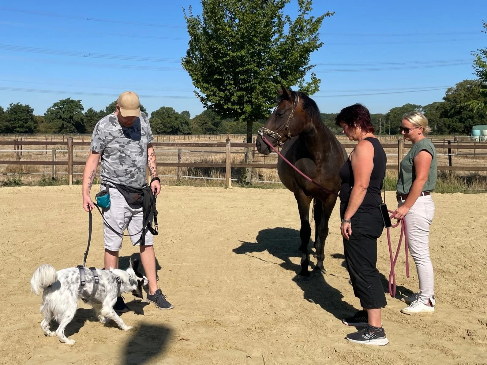 Drei Menschen stehen in einem Sandreitbahn, während ein Mann mit einem Hund und einem Pferd beschäftigt ist. Der Hund ist an einer Leine und scheint die Aufmerksamkeit auf den Mann zu richten. Das Pferd ist an der Leine gehalten und blickt zu den Men