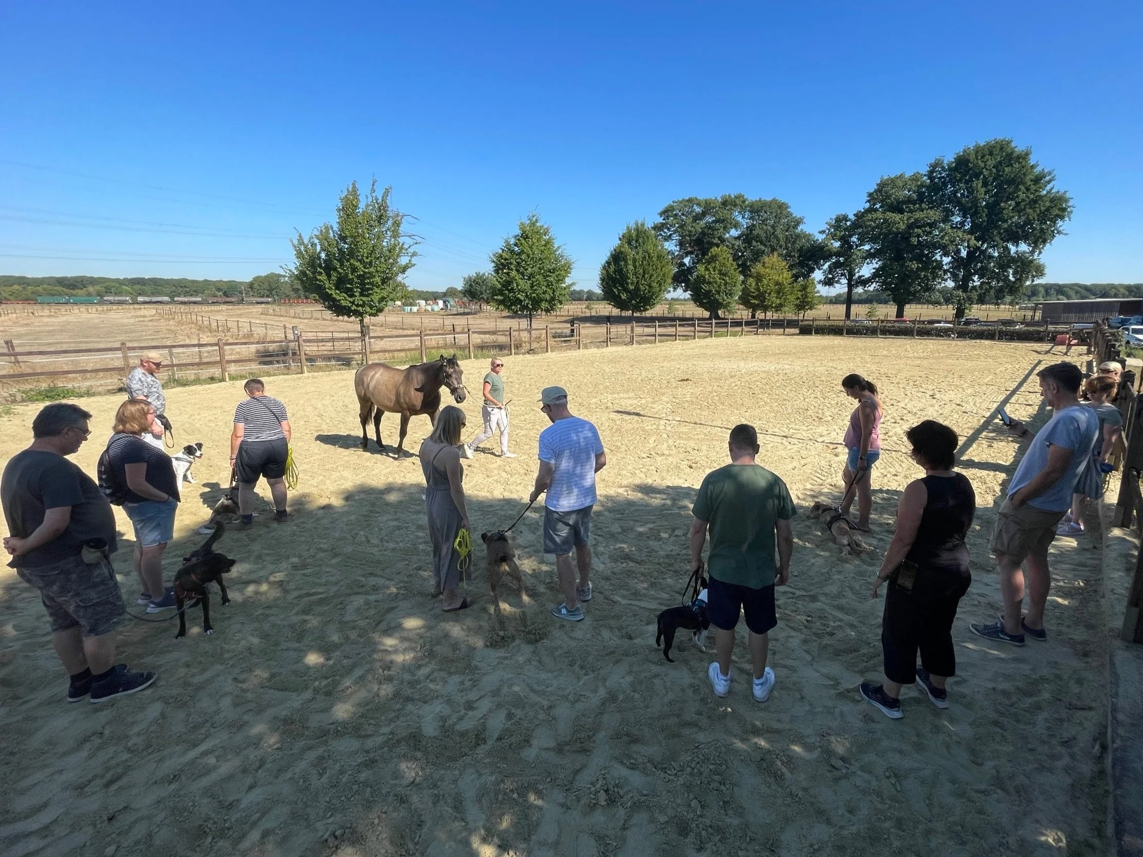 Gruppe von Menschen mit Hunden in einem Anhänger auf einem Reitplatz, mit einem Pferd in der Mitte, unter einem klaren blauen Himmel, umgeben von Bäumen und Feldern.