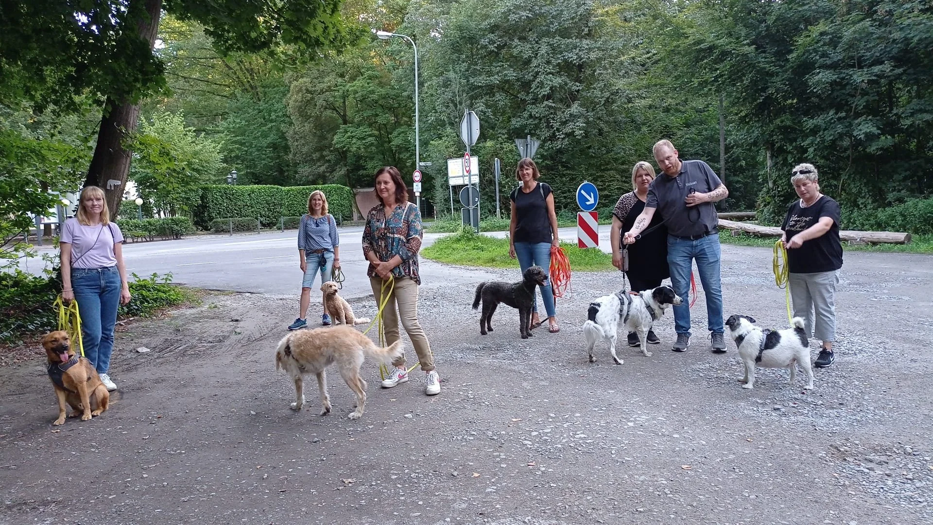 Eine Gruppe von acht Personen mit ihren Hunden steht auf einer unbefestigten Fläche am Rande einer Straße, umgeben von Bäumen und grüner Vegetation.