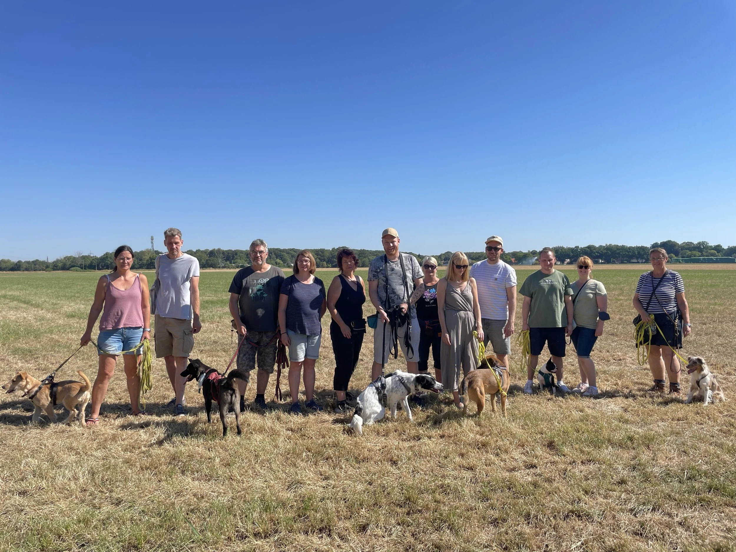 Gruppe von Menschen mit Hunden in einem offenen Feld bei sonnigem Wetter.