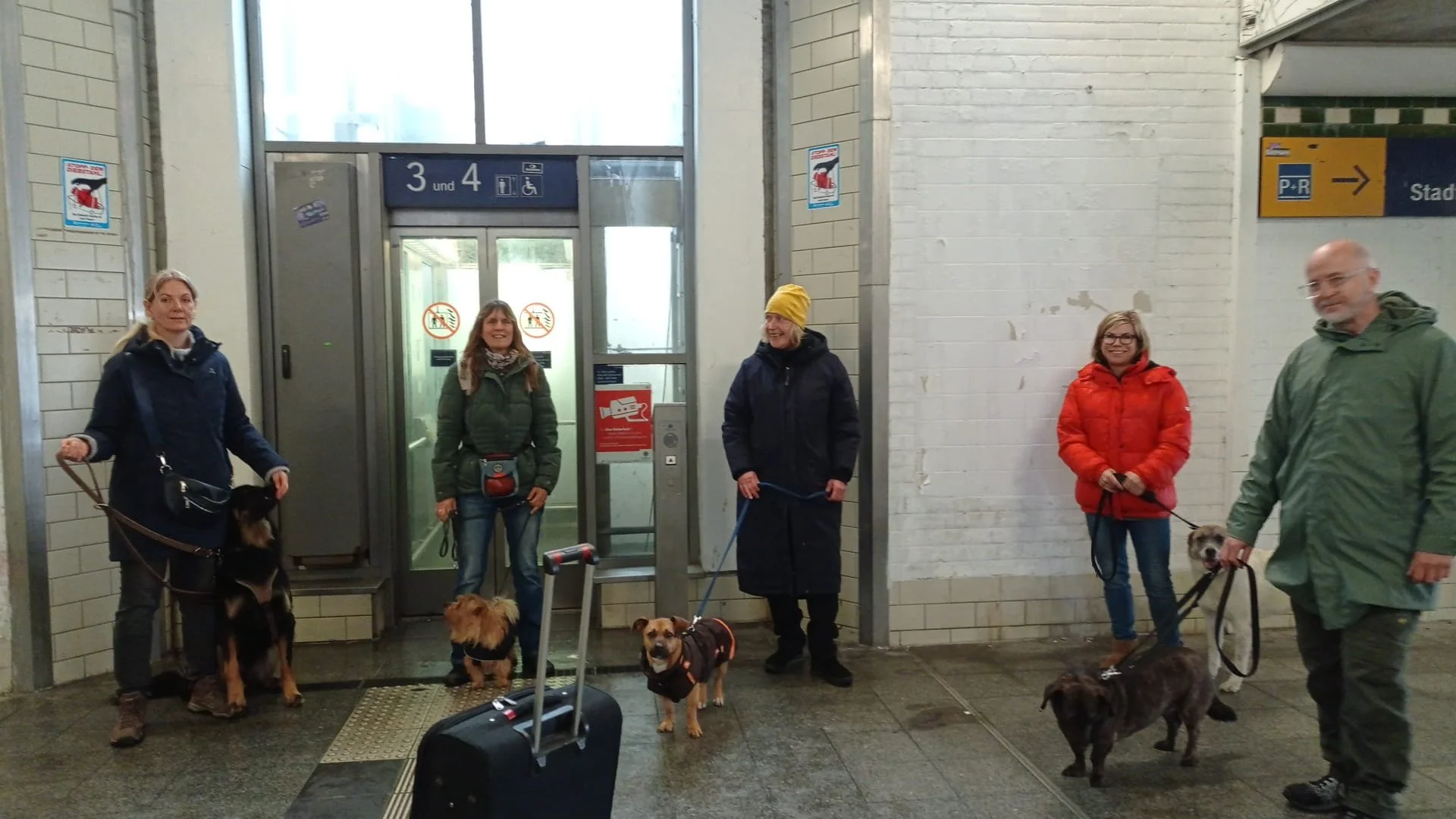 Fünf Menschen mit Hunden warten in einem Bahnhof auf den Fahrstuhl.