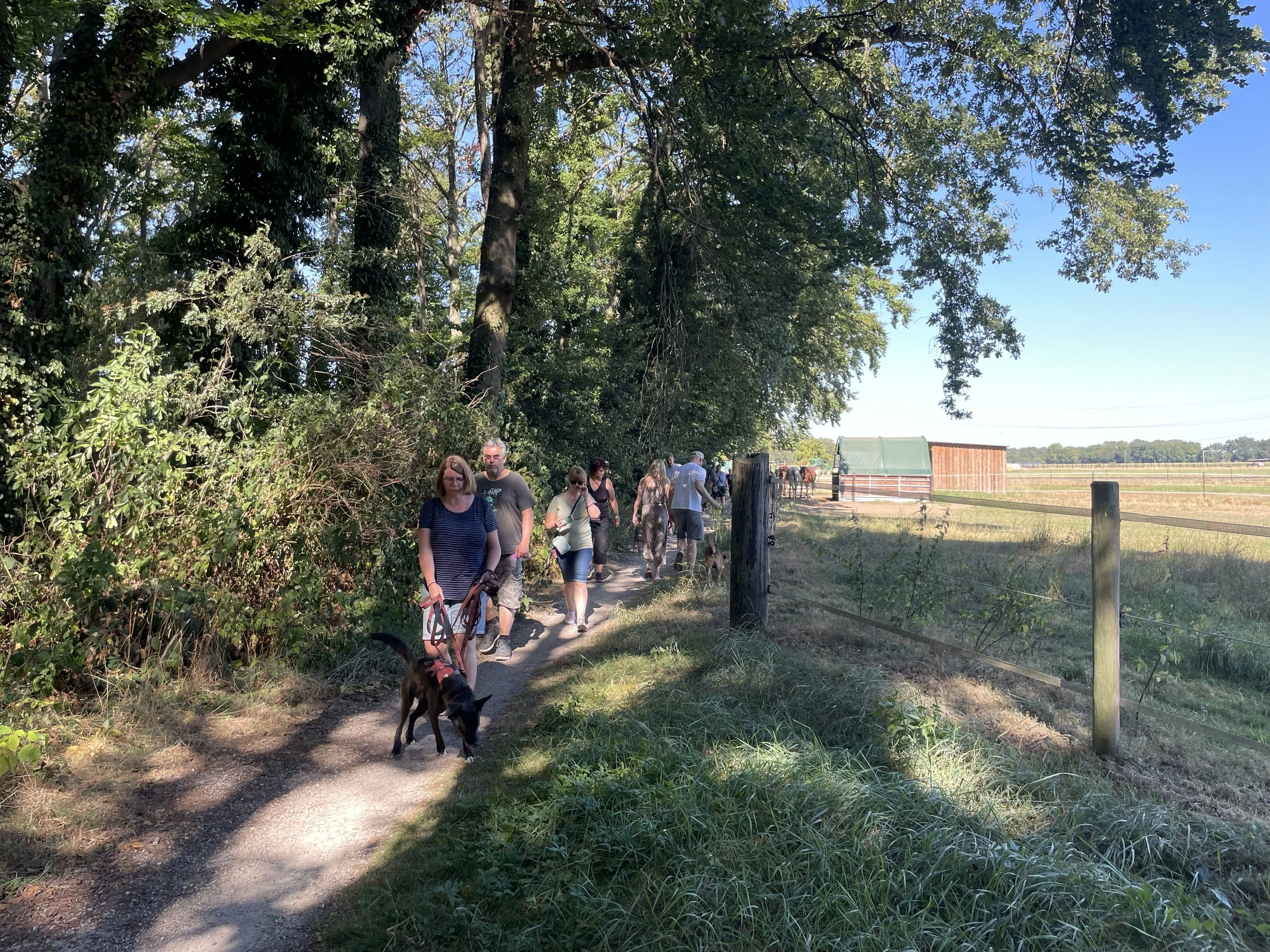 Menschen wandern an einem sonnigen Tag auf einem schmalen Pfad entlang einer Baumlinie und einer offenen Wiese mit einem kleinen Stall im Hintergrund, mit Hund an der Leine.