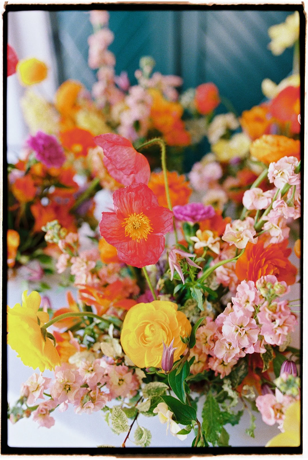 CLAIREMARCOWEDDING-15.jpg