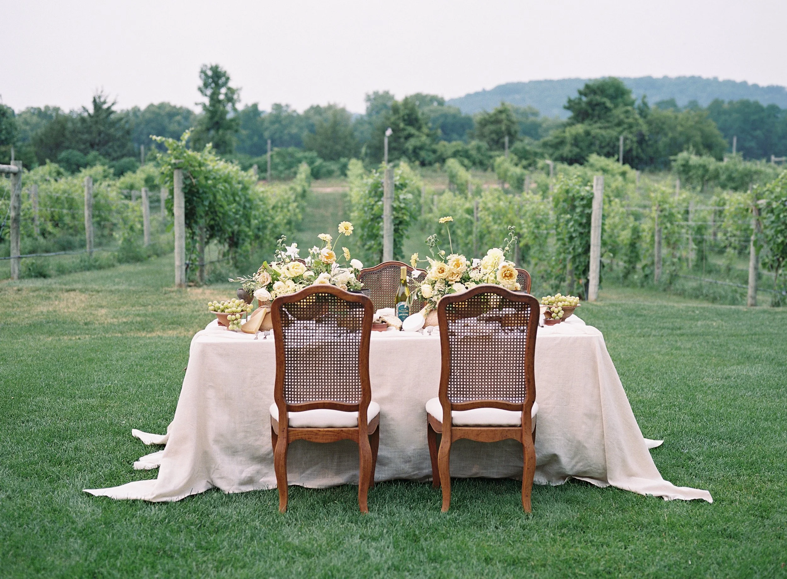Shasta Bell and Rose and Laurel Design
HoneyHill Coordination