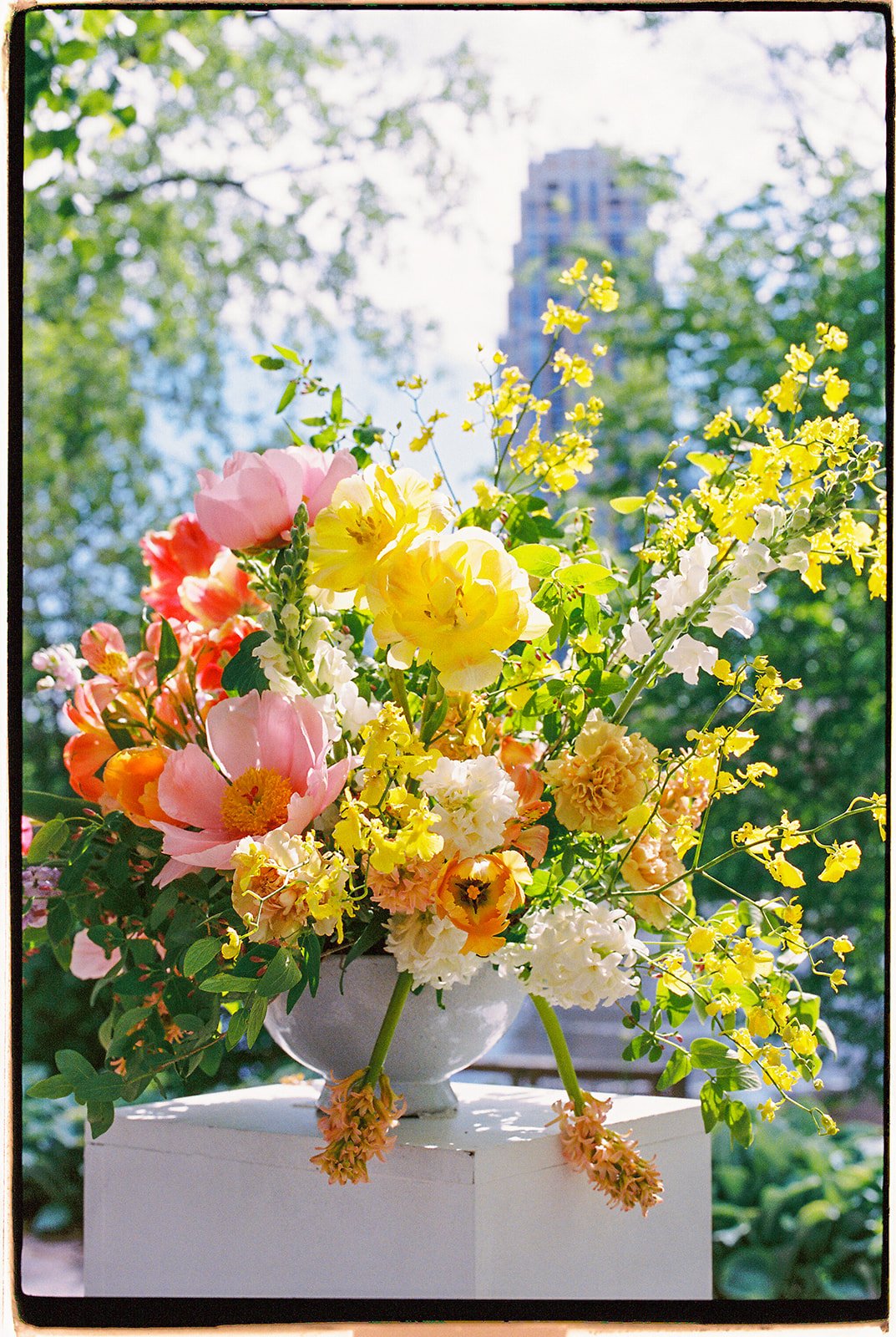 CLAIREMARCOWEDDING-344.jpg