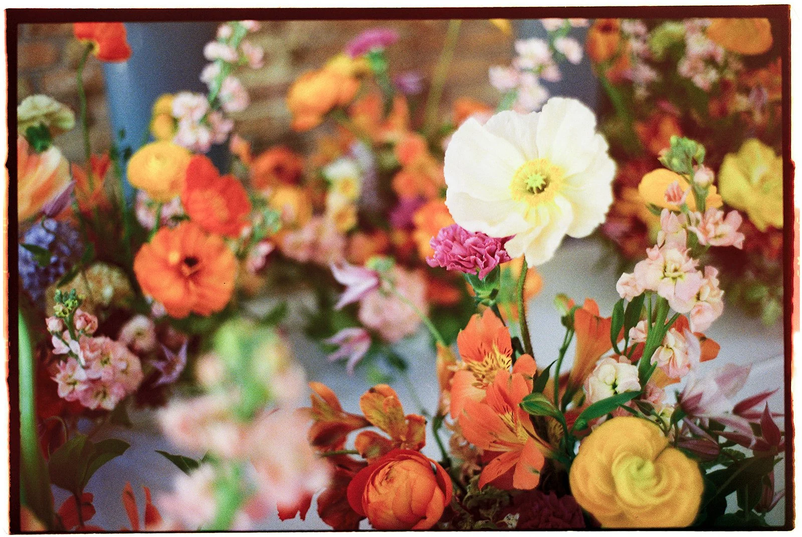 CLAIREMARCOWEDDING-7.jpg