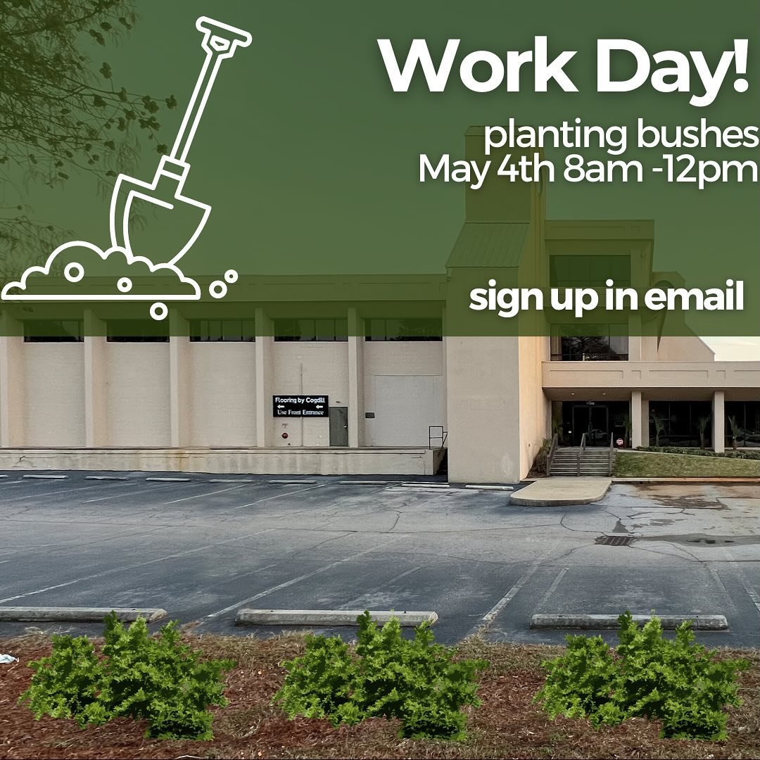 For our next building workday we will be planting bushes along Laurel street! Sign up in the email because we can only take ten volunteers this time. Wear appropriate clothing and bring any shovels you have.
