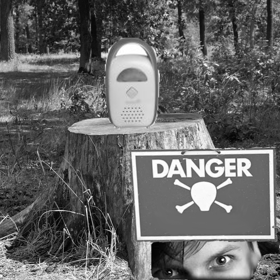 Navigating a Criminal Minefield