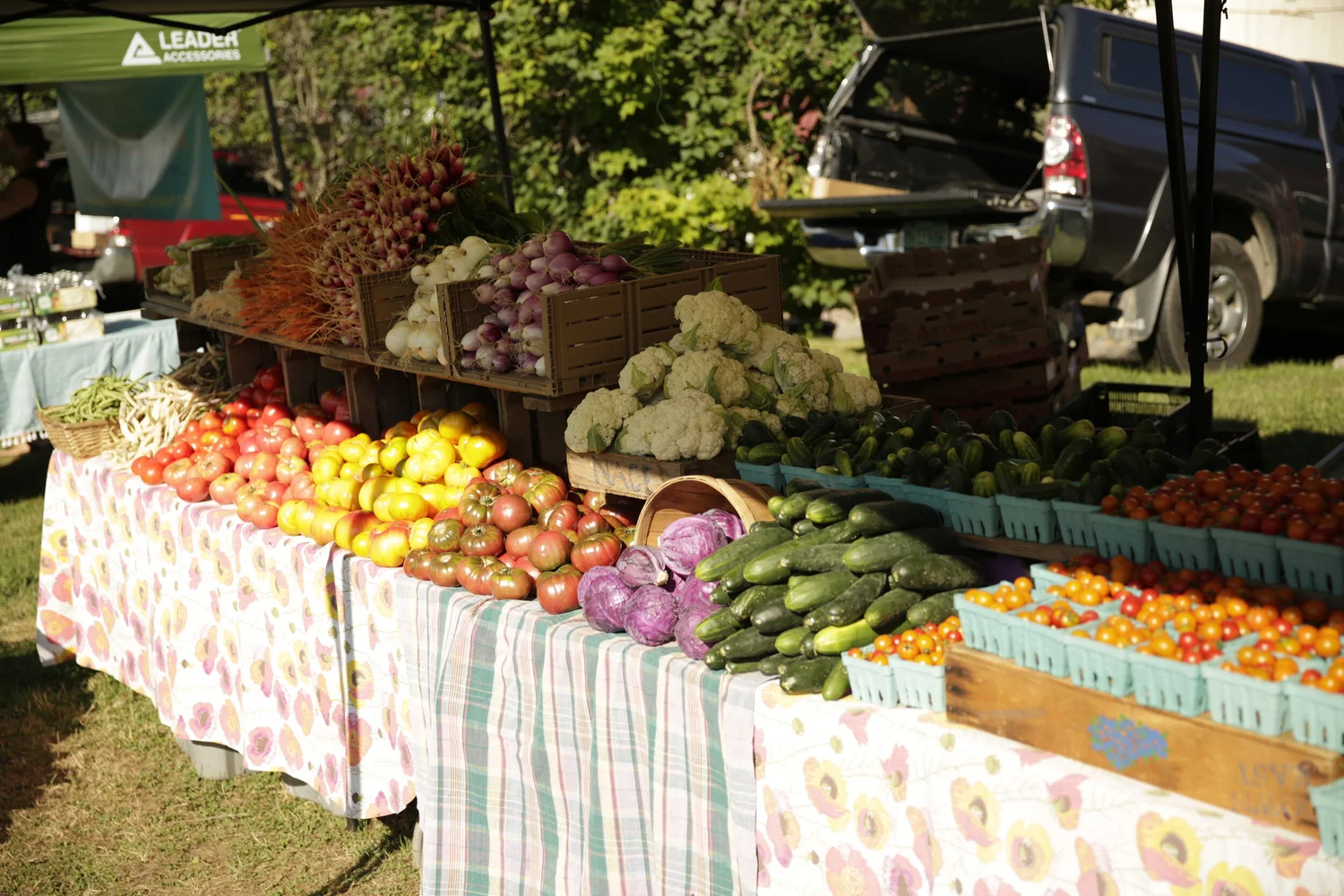 EBT/SNAP Options — Waitsfield Farmers Market