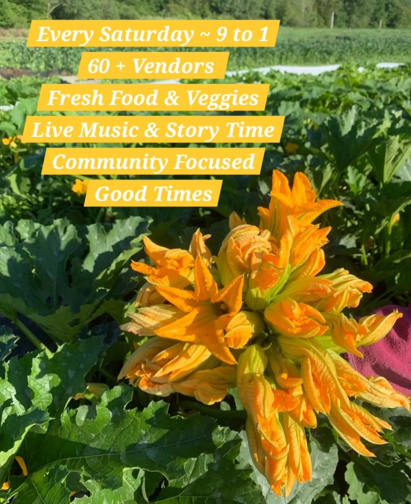 Looks like a beautiful weekend in Vermont. Come join us for breakfast, lunch, groceries, gifts, live music, and friendly faces. 

Every Saturday from 9 to 1, family friendly, dog friendly, community focused, SNAP/EBT available.

📸 @tunbridgehillfarm