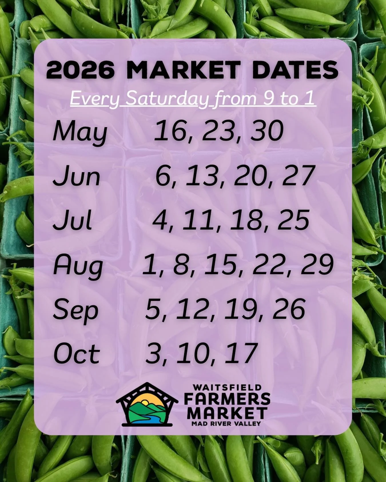 3 weeks until the first market of the season. Please share this far and wide. We all love a full, vibrant, buzzing, robust market and the @waitsfieldfarmersmarket delivers everything you need. See you soon, 9 to 1 every Saturday. Story time is around