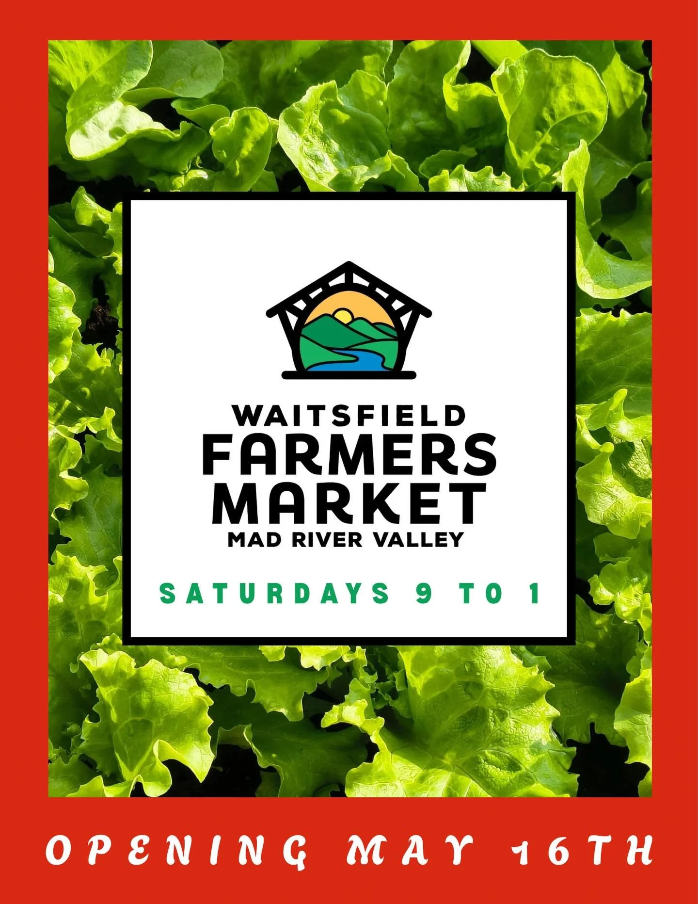 Opening day at the @waitsfieldfarmersmarket is MAY 16th starting at 9 am to 1 pm. As always the best of the best, rain or shine! One stop shopping for everything local&hellip;veggies, meat, fish, eggs, cheese, bread, flowers, beverages, provisions, m