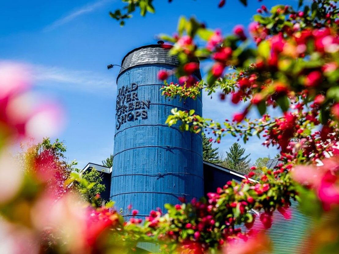Looking forward to another gorgeous day in Waitsfield. We have a full market this weekend. 53 Vendors and three nonprofits @waitsfieldpta, @wood4goodvt and MRV Wellbeing. Music from 10:00 to 1:00 by the Phineas Gage Project. Storytime with @inklingsc