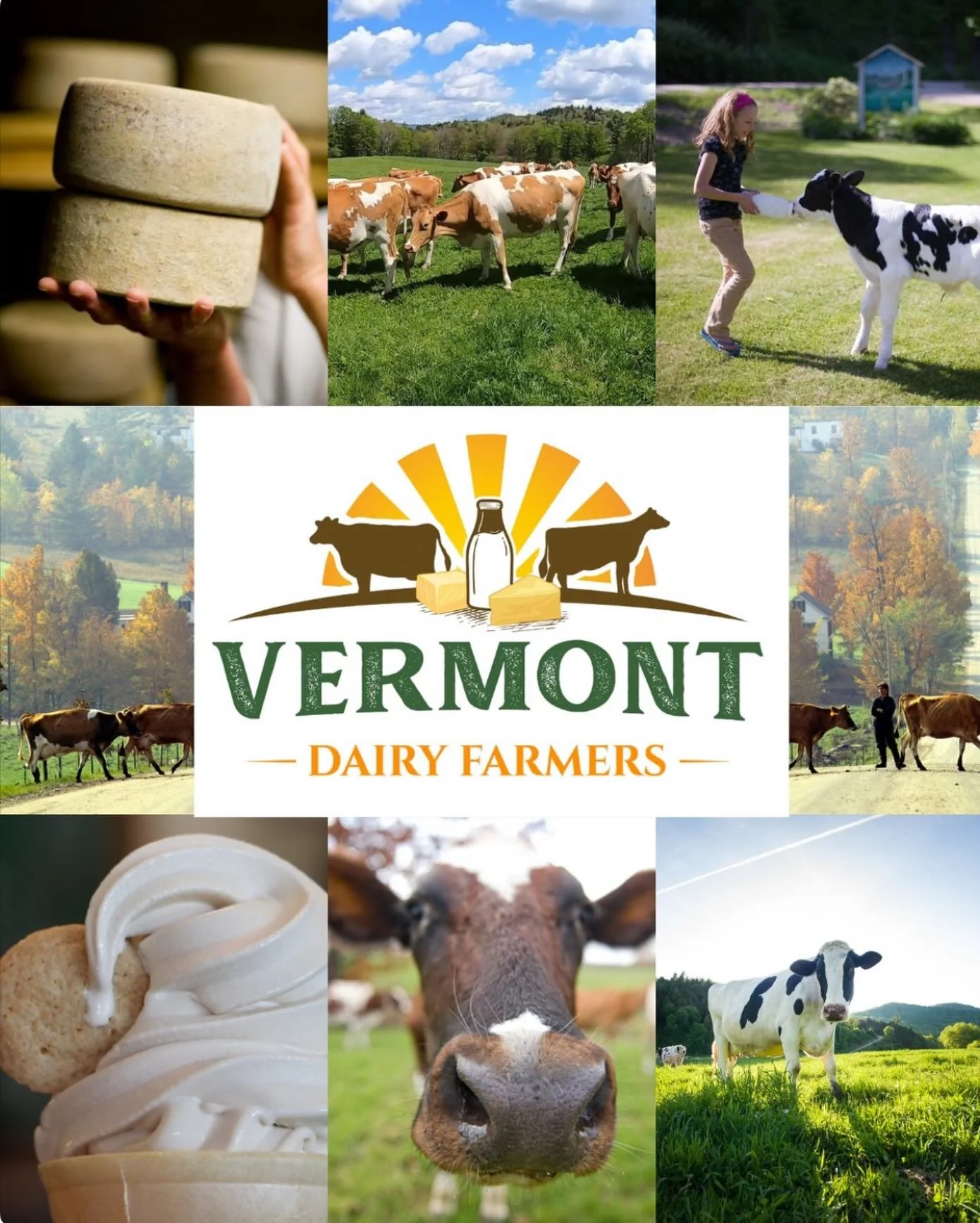 June is National Dairy month. It celebrates the dairy industry, recognizes farm families and promotes the nutritional benefits of dairy products. It originally started in 1937. Dairy is deeply woven into Vermonts cultural identity and landscape. Come