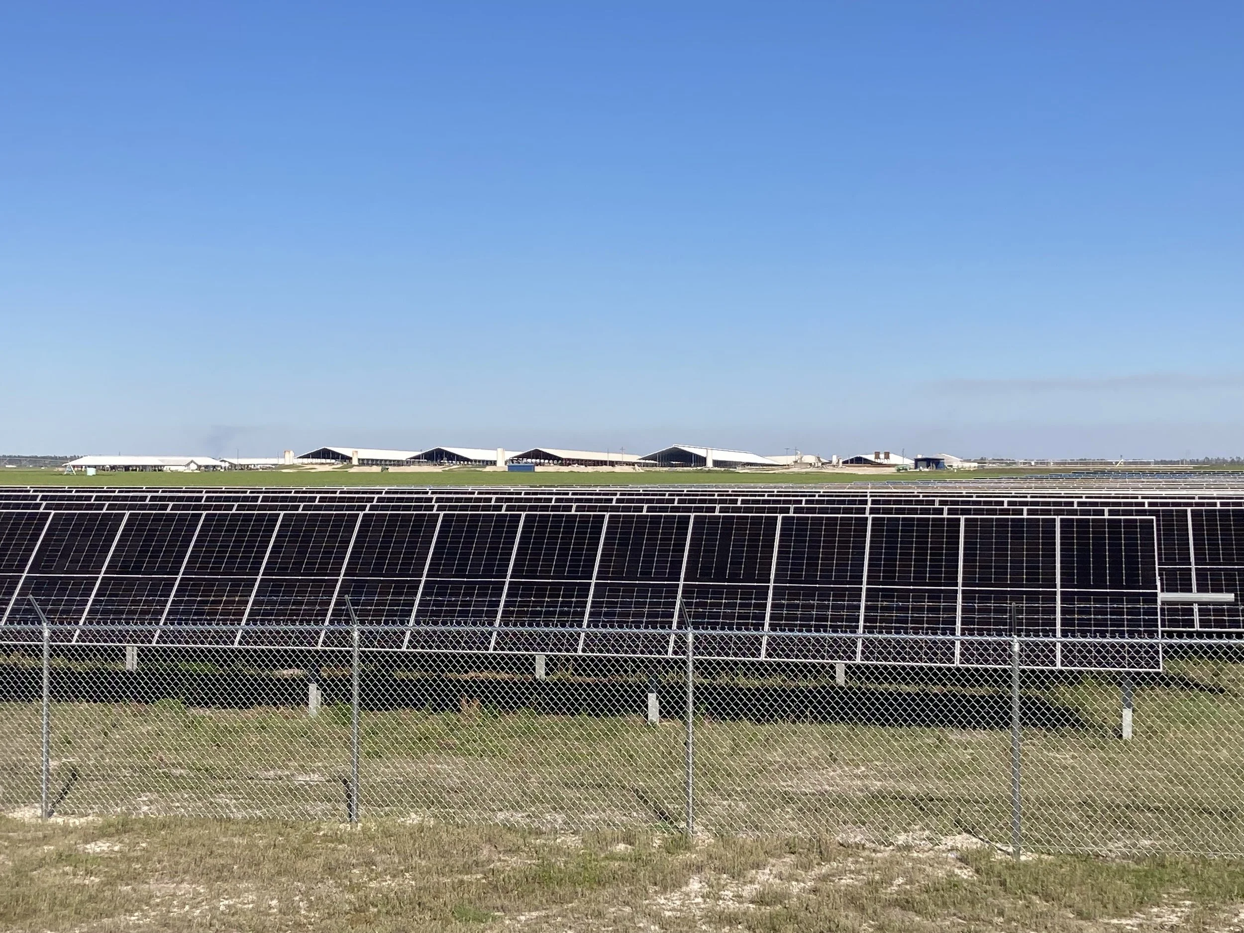 Chesapeake Solar, Madison, Florida 