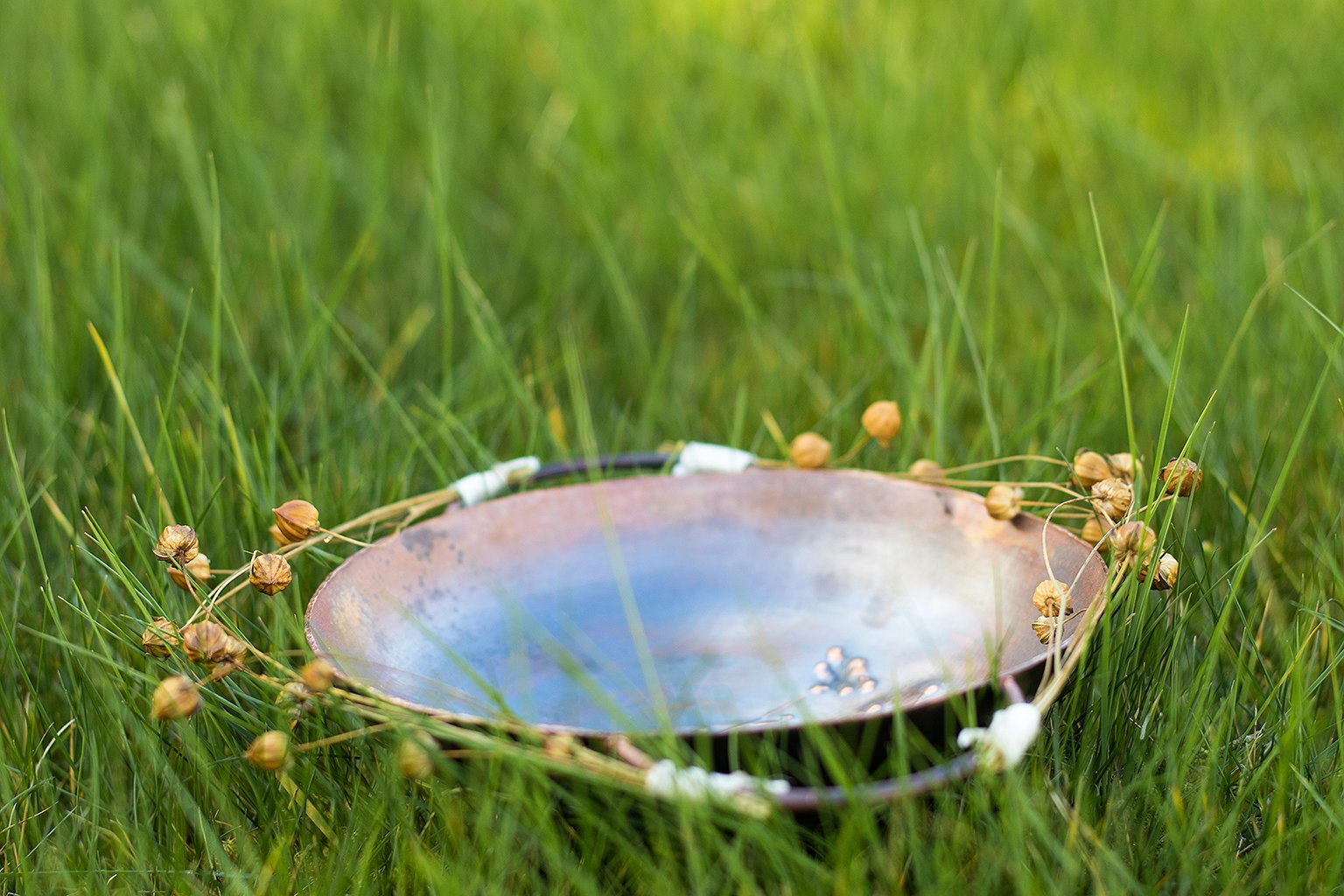 Copper & Willow Experimental Workshop | Grove of the Oaks Festival