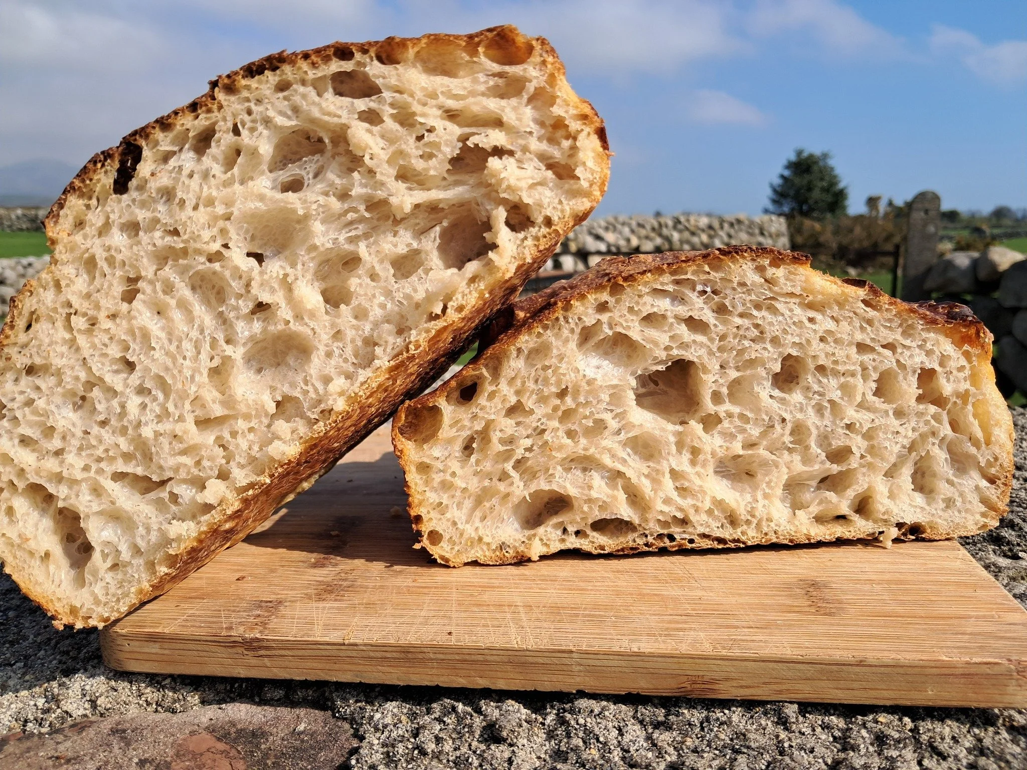 sourdough 1.jpg